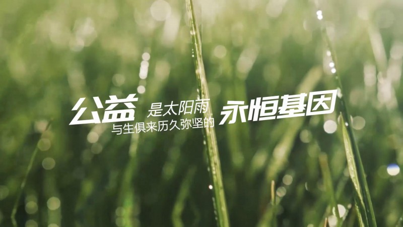 发现太阳雨最美｜公益基因