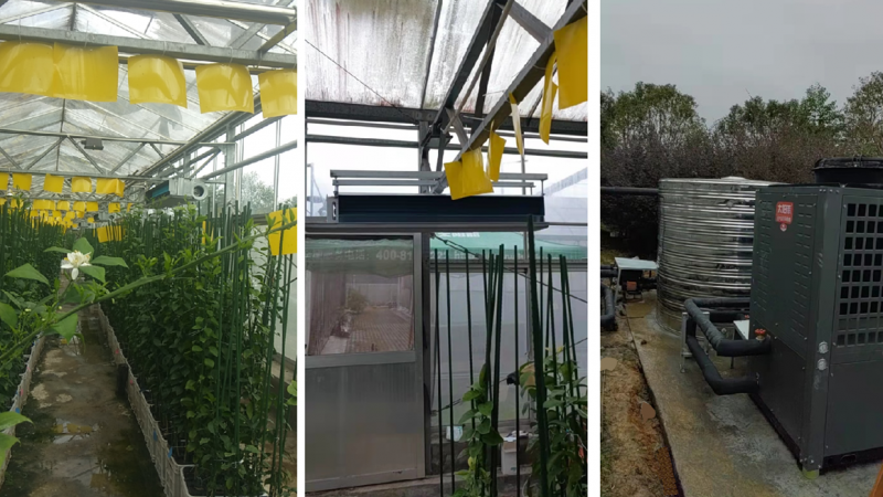 浙江台州柑橘研究所大棚采暖项目