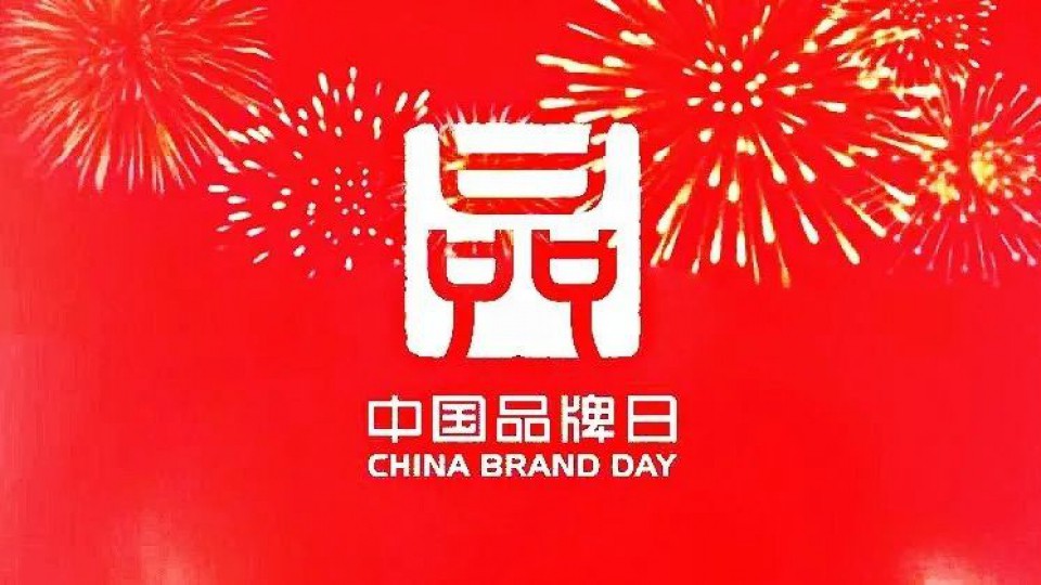 太阳雨集团应邀参加2020中国品牌云峰会