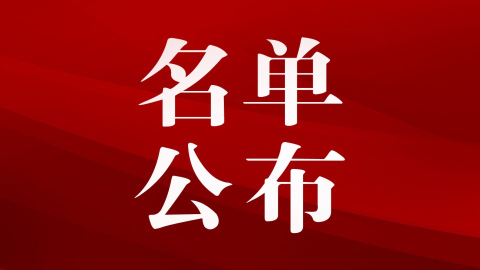 太阳雨《双十一中奖人员名单》