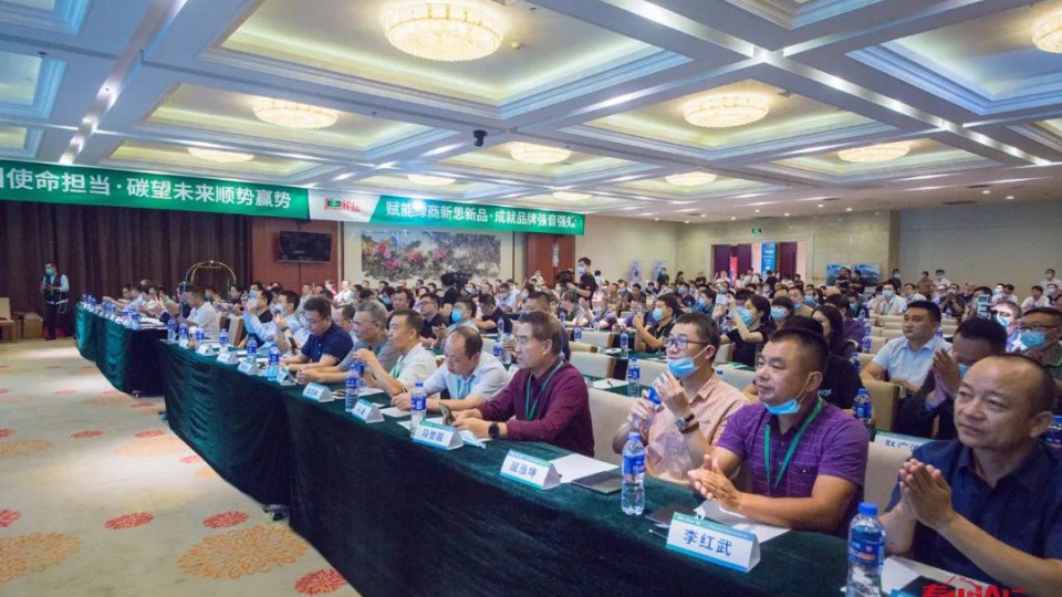 泰山论坛：太阳雨零碳项目获评“绿能强国 超级工程”